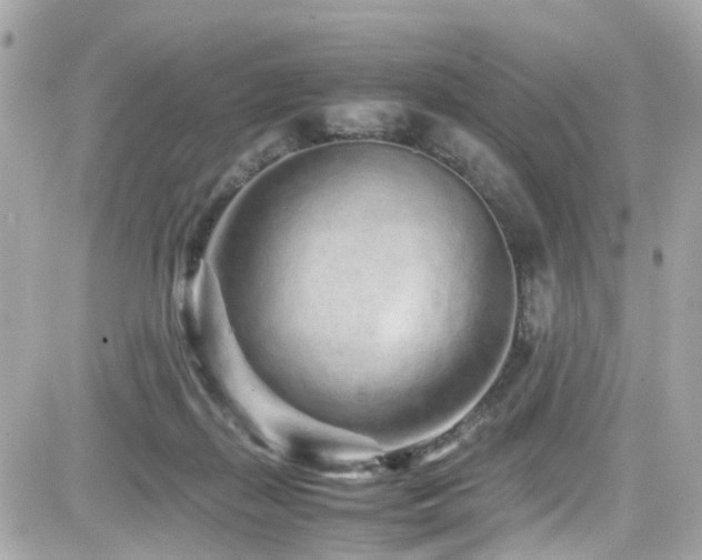 X0000082200267200701191449