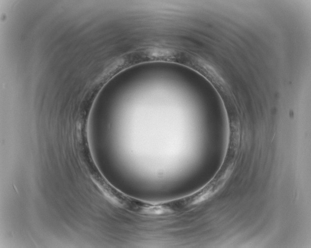 X0000082200269200701191449