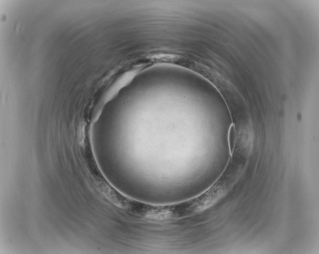 X0000082200271200701191449