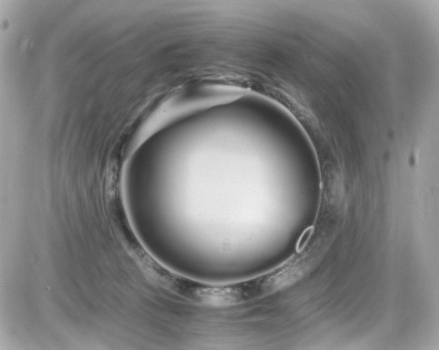 X0000082200273200701191449