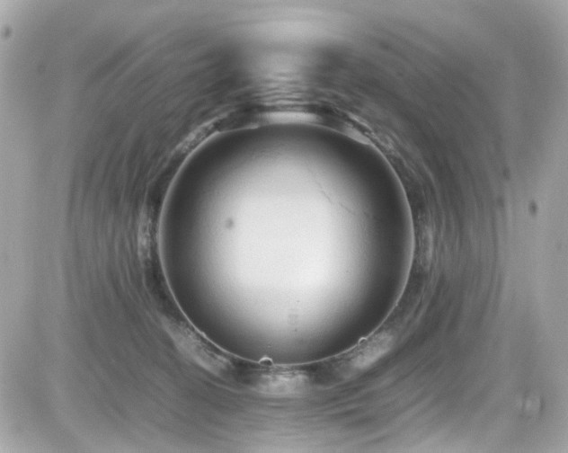 X0000082200274200701191449