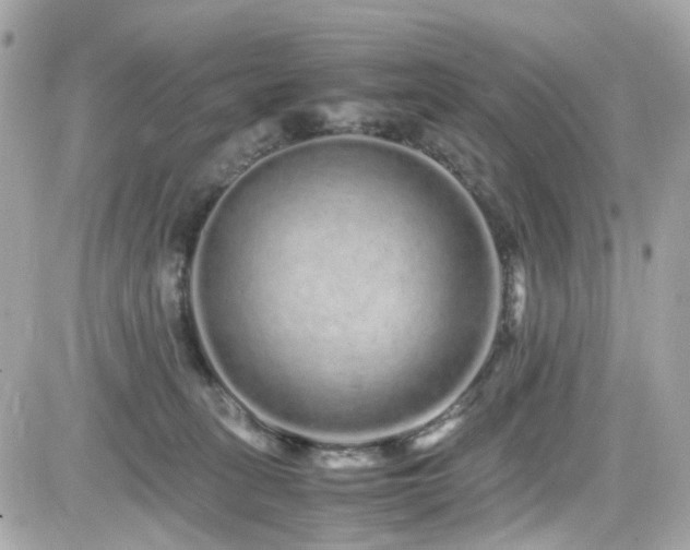 X0000082200275200701191450