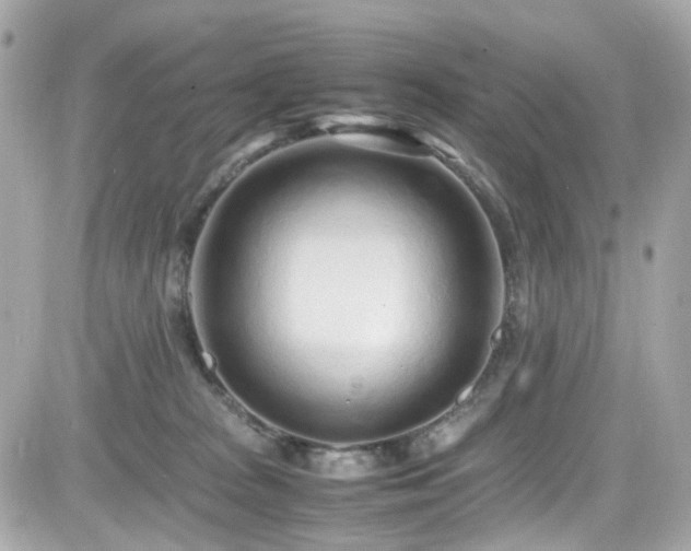 X0000082200277200701191450