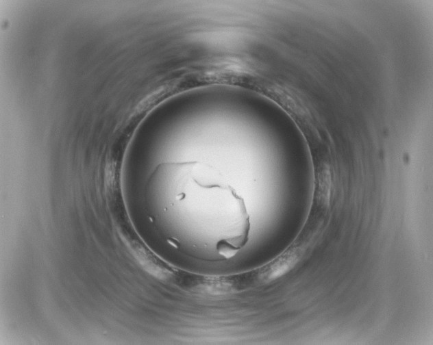 X0000082200278200701191450