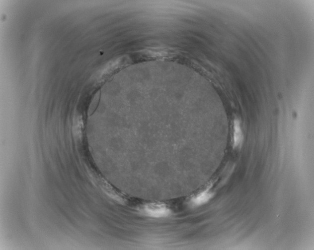 X0000082200279200701191450