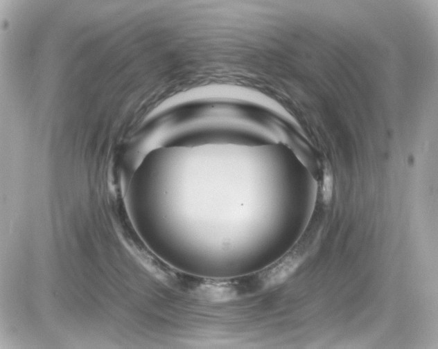 X0000082200280200701191450