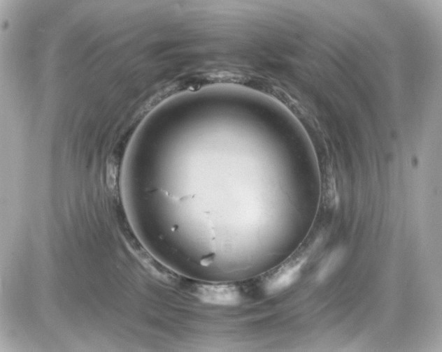 X0000082200281200701191450