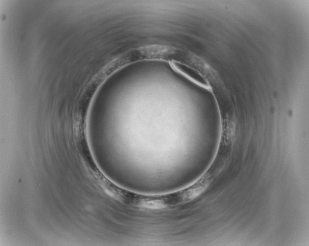 X0000082200283200701191450