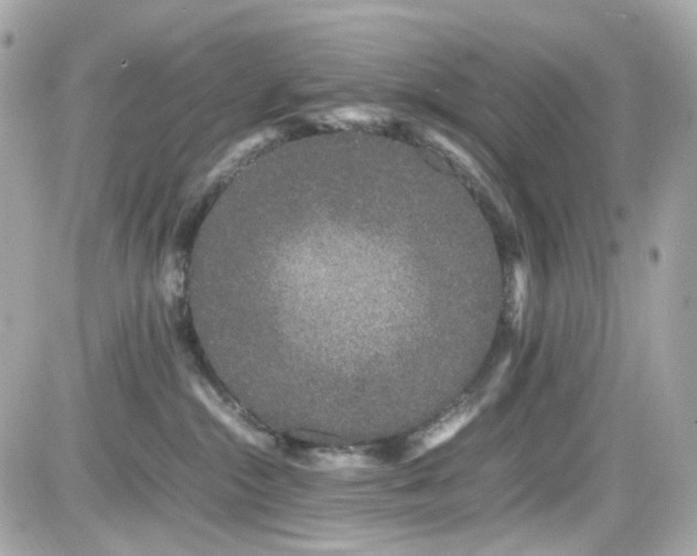 X0000082200284200701191450