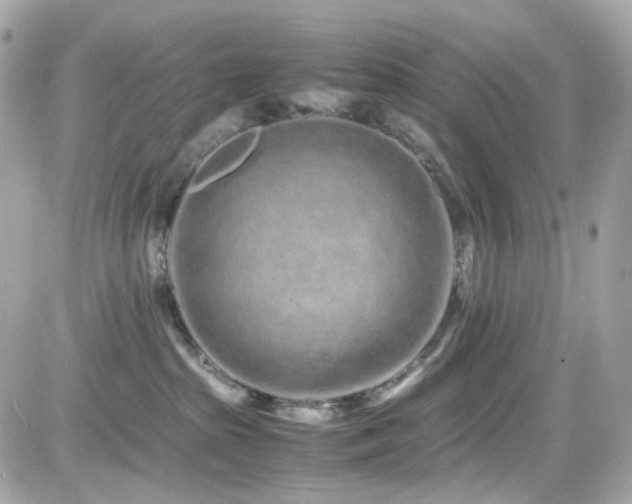 X0000082200285200701191450