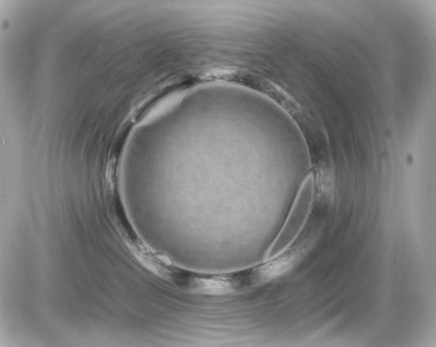 X0000082200286200701191450