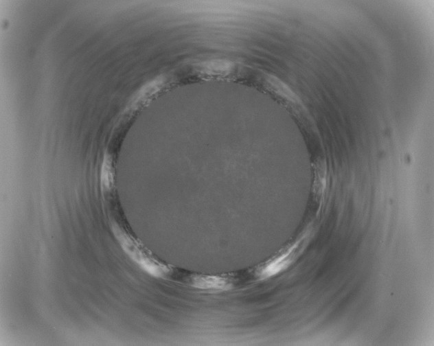 X0000082200287200701191450