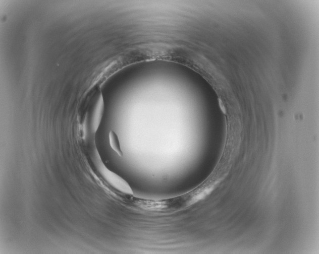 X0000082200288200701191450