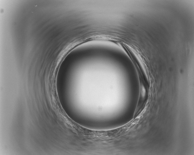 X0000082200289200701191449