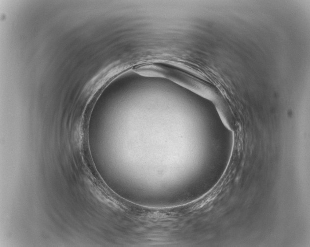 X0000082200290200701191449