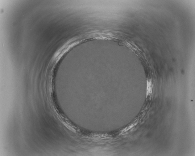 X0000082200291200701191449