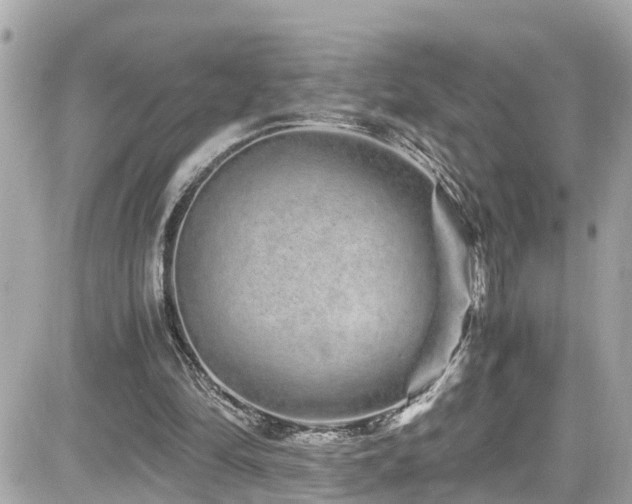 X0000082200294200701191449