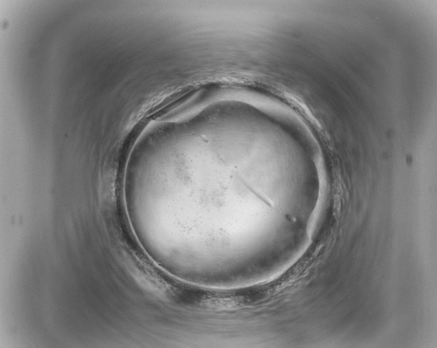 X0000082200299200701191449