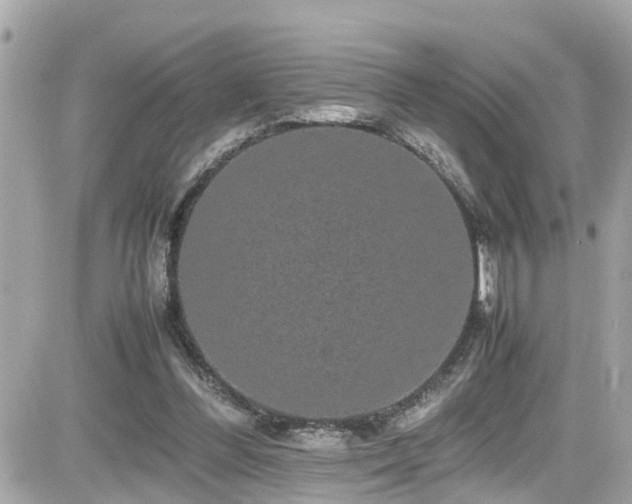 X0000082200300200701191449