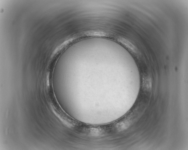 X0000082200302200701191449