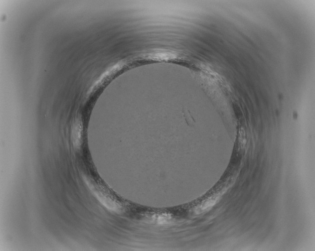 X0000082200304200701191449