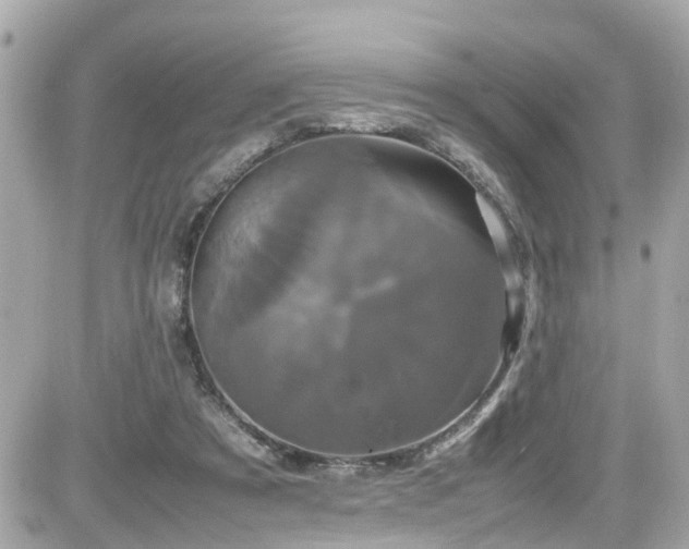 X0000082200305200701191449