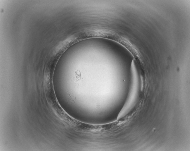 X0000082200306200701191449