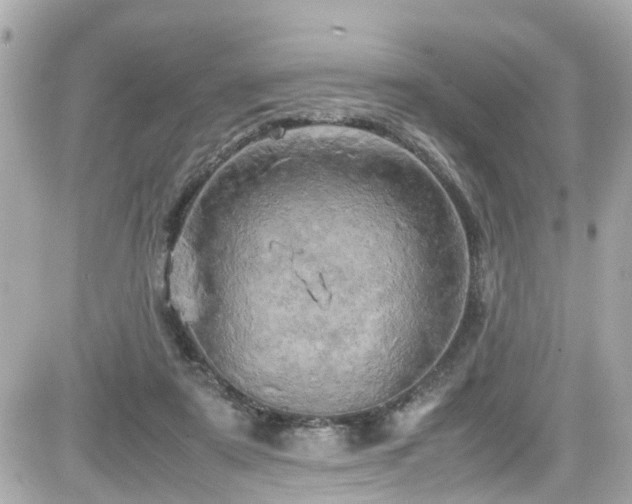 X0000082200307200701191449