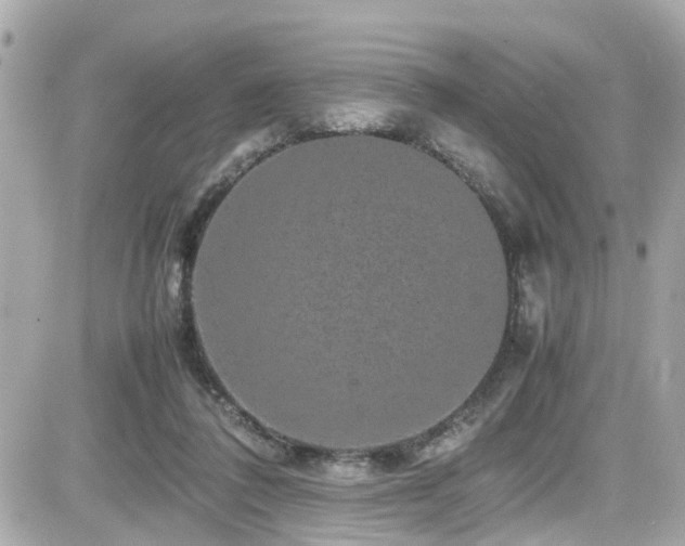 X0000082200308200701191449