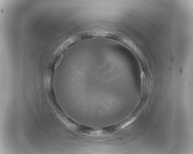 X0000082200309200701191449