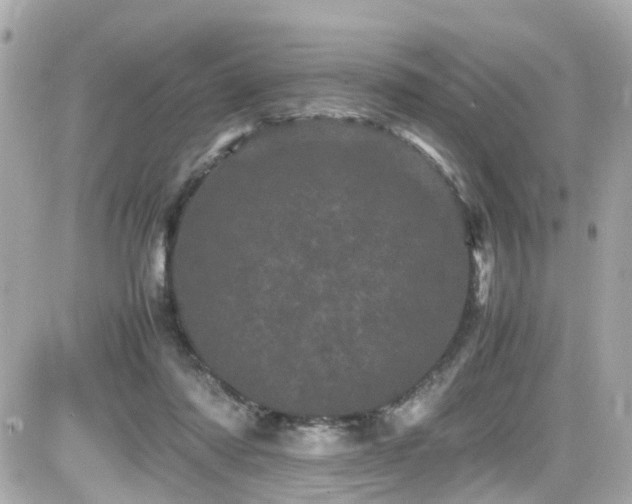 X0000082200310200701191449