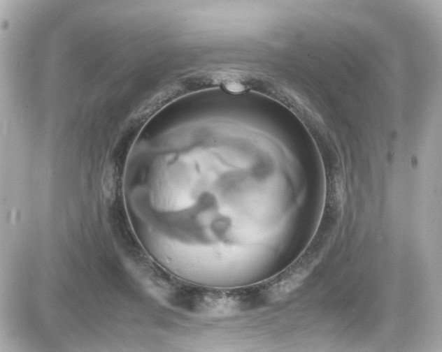 X0000082200311200701191449