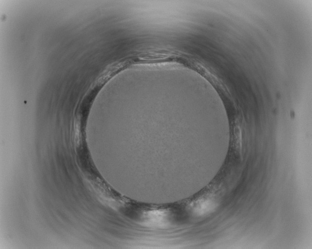 X0000082200312200701191449