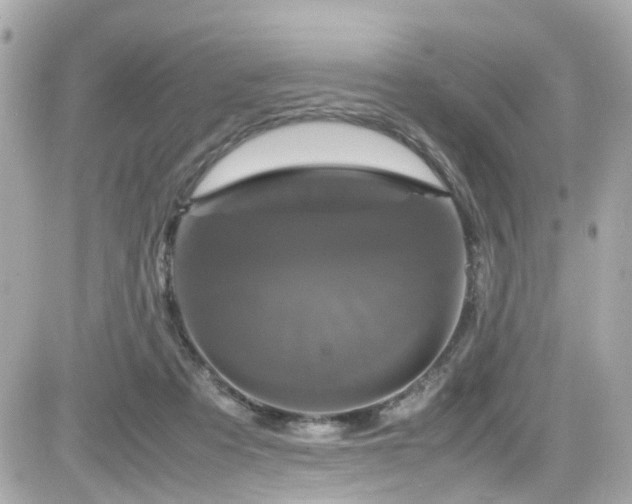 X0000082200313200701191449