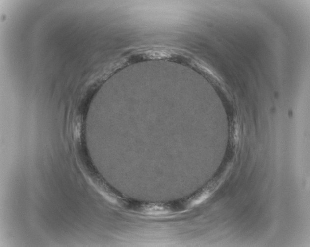 X0000082200315200701191449