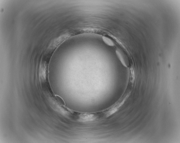 X0000082200334200701191448
