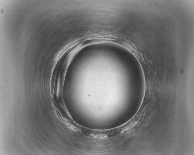 X0000082200340200701191447