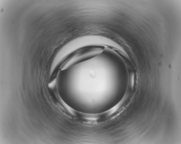 X0000082200362200701191448