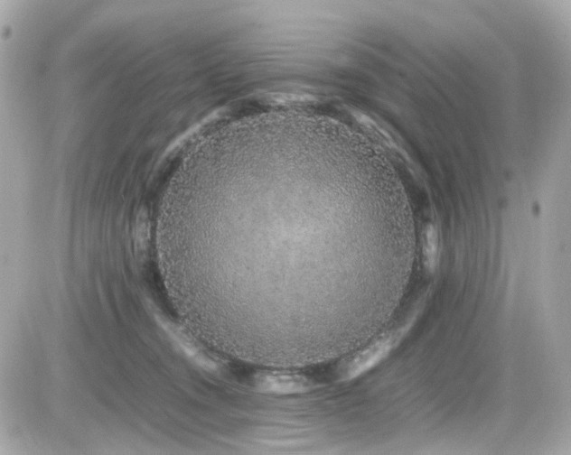 X0000082200372200701191448
