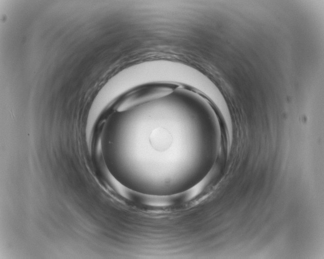 X0000082200382200701191448