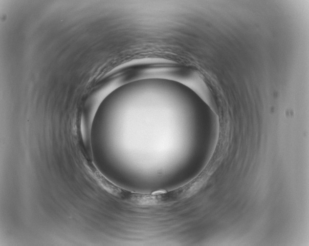 X0000082200384200701191448