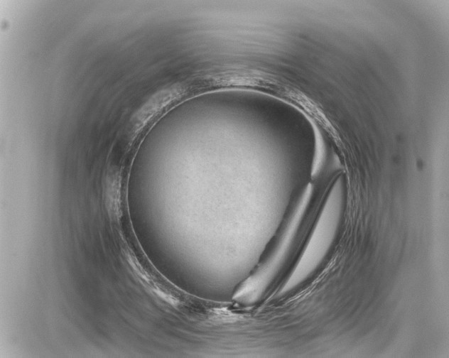 X0000082200386200701191447