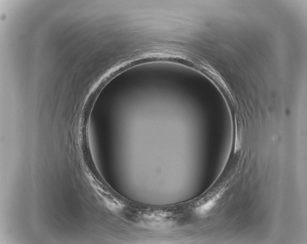 X0000082200387200701191447