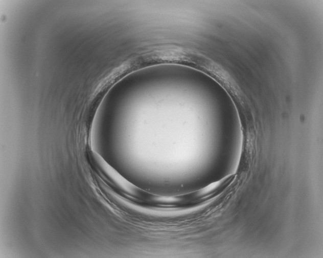 X0000082200397200701191447