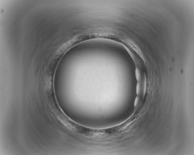 X0000082200401200701191447