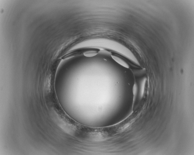 X0000082200404200701191447
