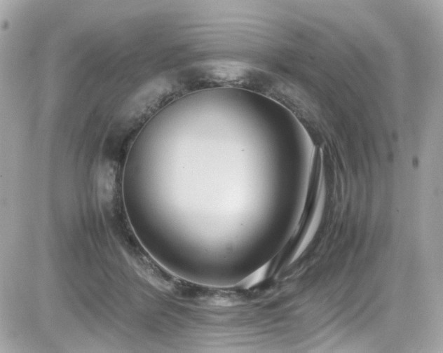 X0000082200412200701191447