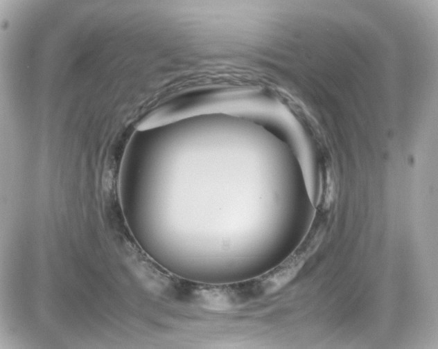 X0000082200417200701191447