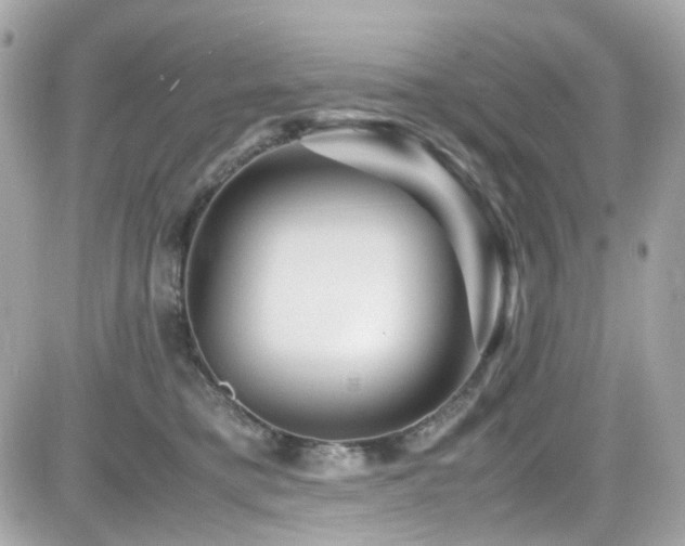 X0000082200421200701191447