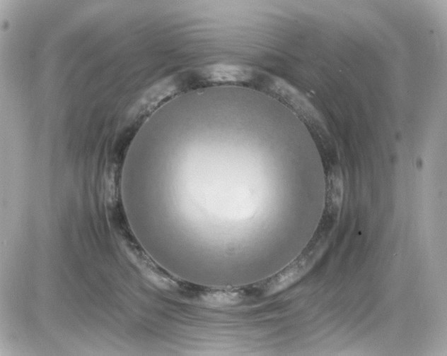 X0000082200422200701191447